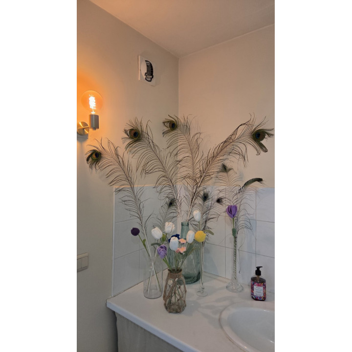 Création d'ambiance saisonnière : printemps / été