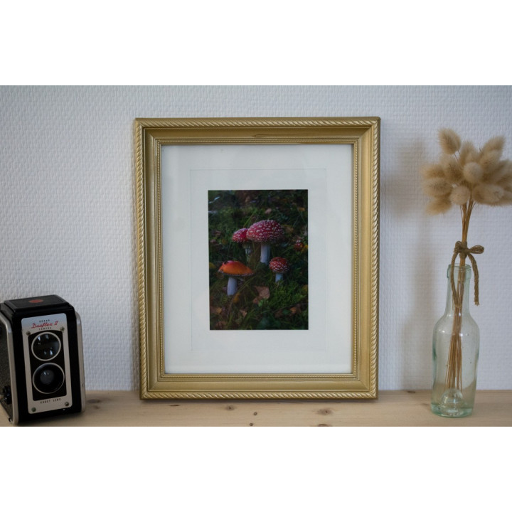 Cartes postales d'art "Forêt"