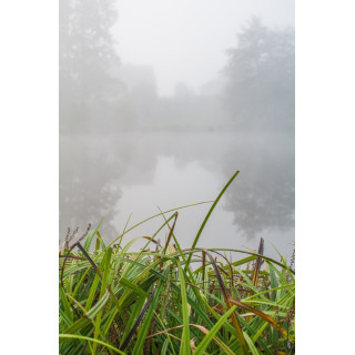 Cartes postales d'art "Matin brumeux"