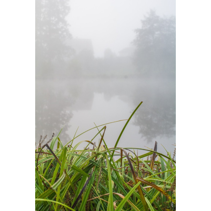 Cartes postales d'art "Matin brumeux"