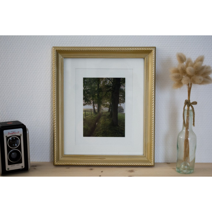 Cartes postales d'art "Matin brumeux"