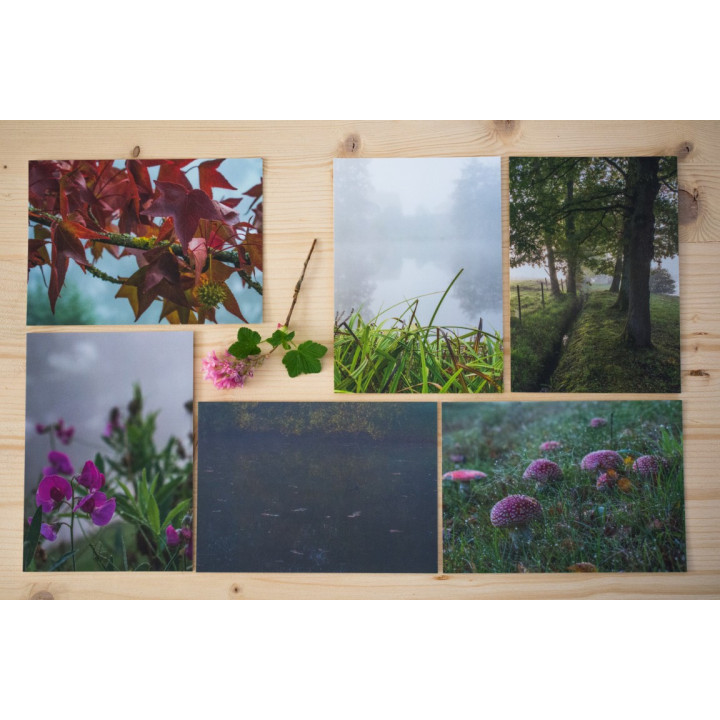 Cartes postales d'art "Matin brumeux"