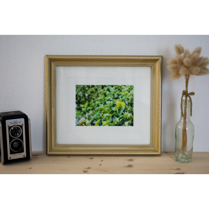 Cartes postales d'art "Nature"