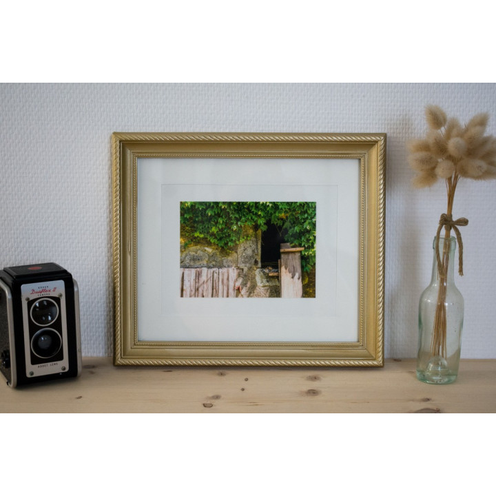 Cartes postales d'art "Campagne"