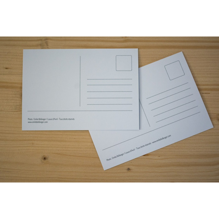 Cartes postales d'art "Campagne"