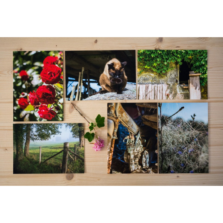 Cartes postales d'art "Campagne"