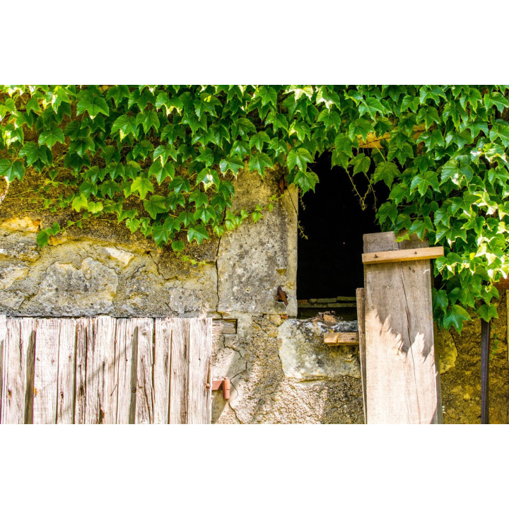 Cartes postales d'art "Campagne"