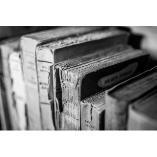 Cartes postales d'art "Cabinet de curiosités"