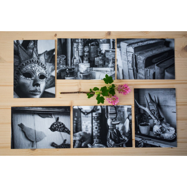 Cartes postales d'art "Cabinet de curiosités"