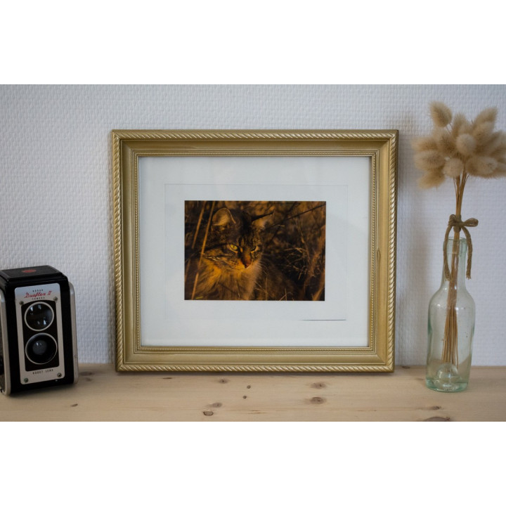 Cartes postales d'art "Animaux de la campagne"