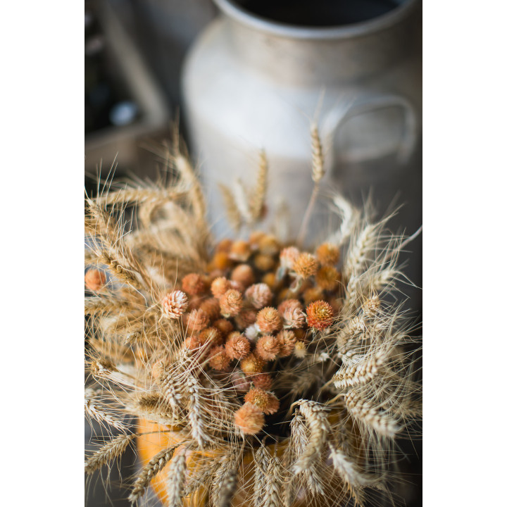 Location de décors et de vaisselle