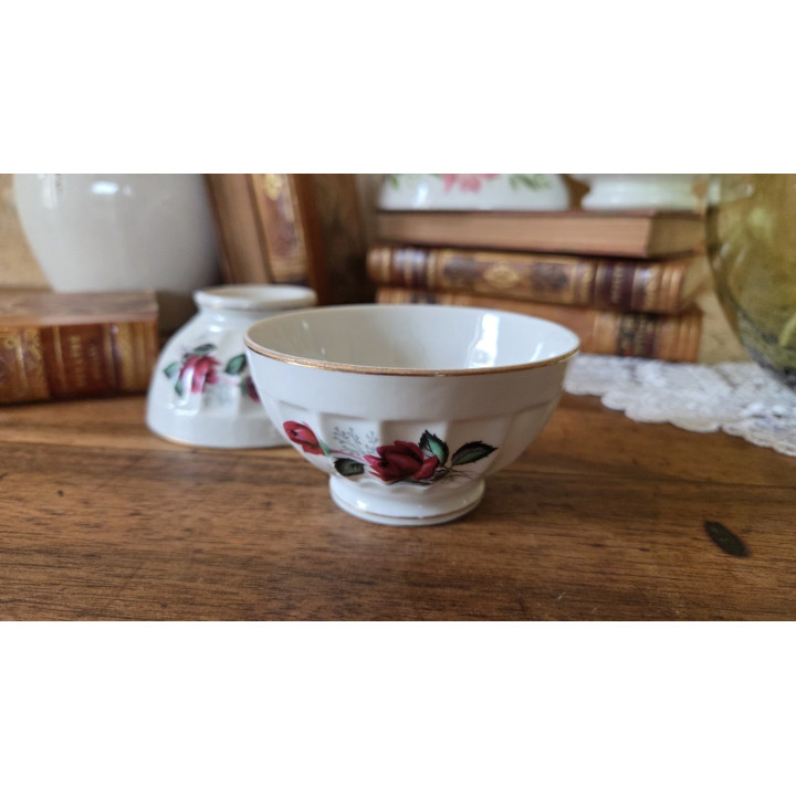 Duo de bols raffinés