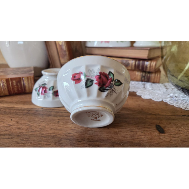 Duo de bols raffinés