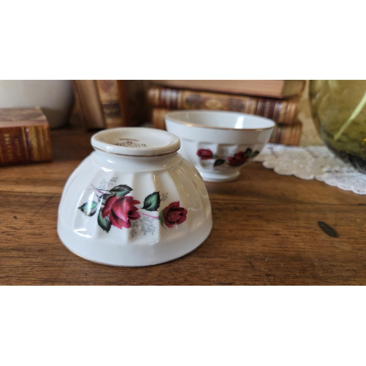 Duo de bols raffinés