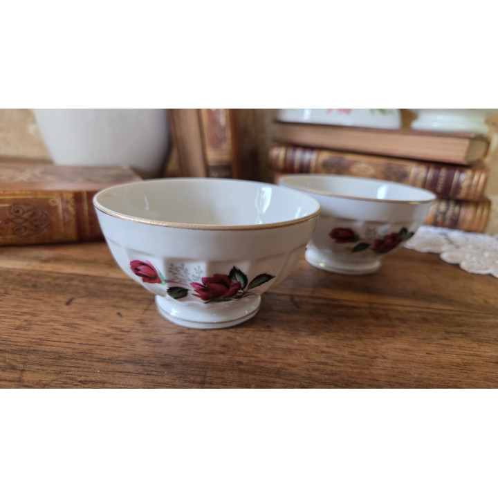 Duo de bols raffinés