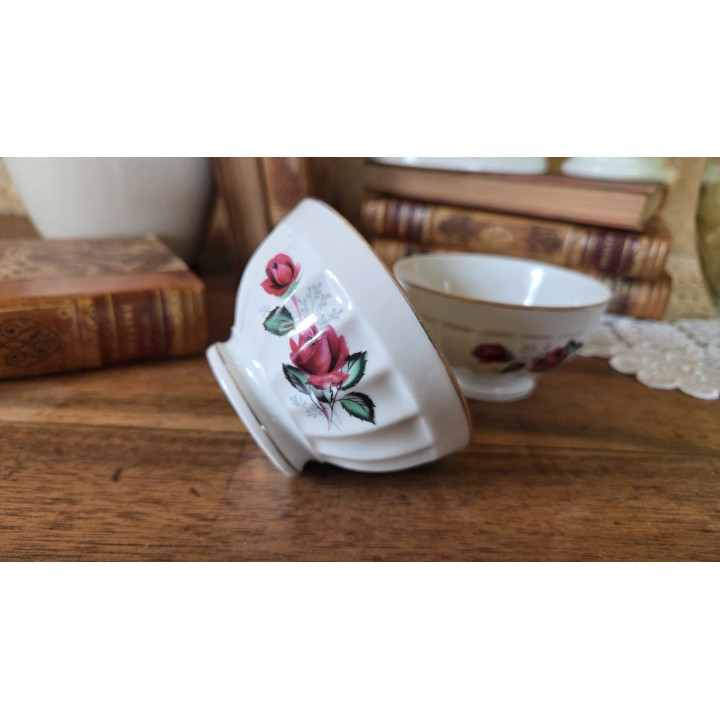 Duo de bols raffinés