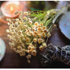 Fleurs séchées